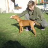 Coudy Vives Bohemia